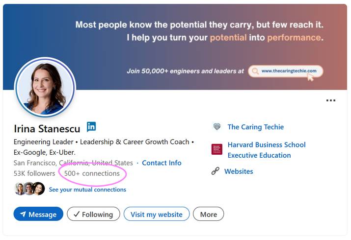 LinkedIn 500+ Connections Profile